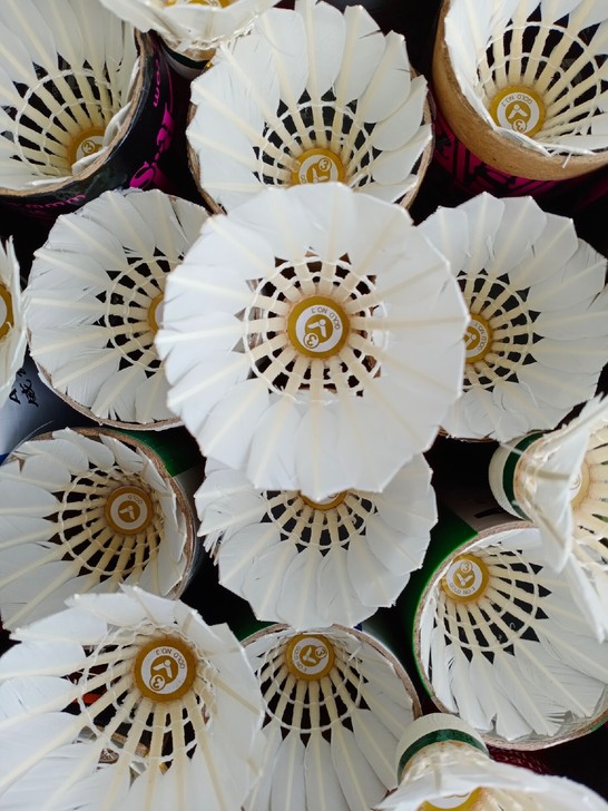 超值包邮!二手维克多羽毛球胜利羽毛球9成新...