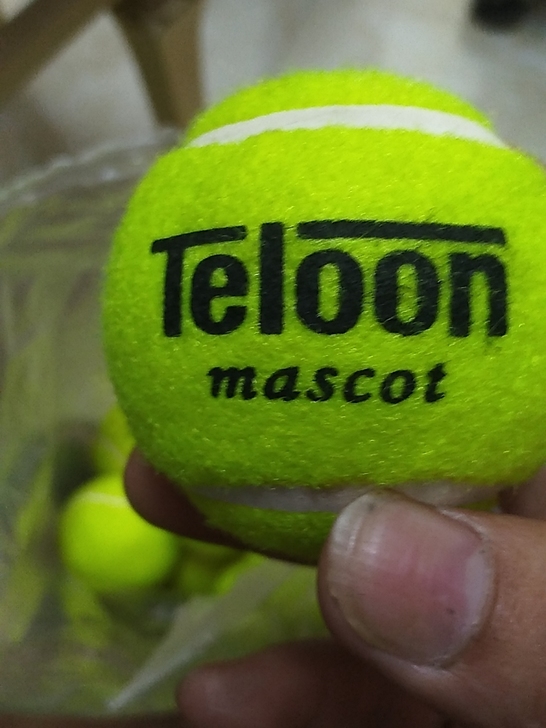 天龙网球24支，