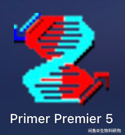 mac版 primer
