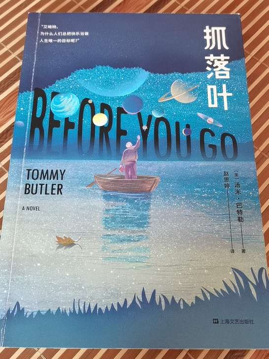 《抓落叶》外国文学/长篇小说