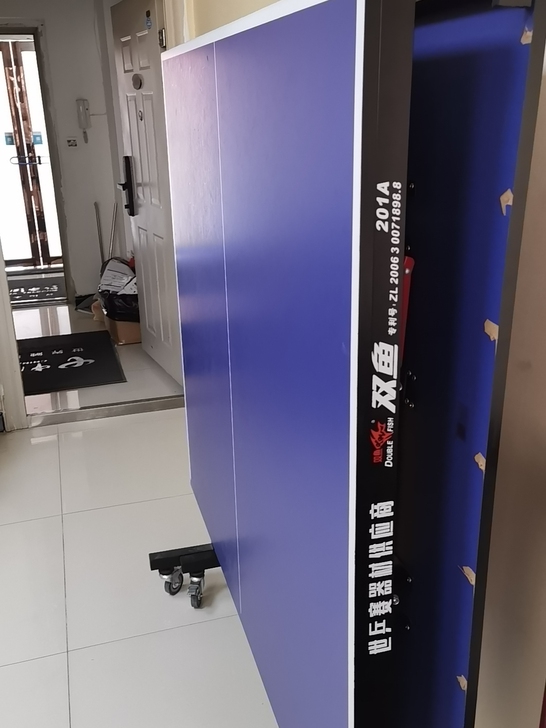 双鱼牌乒乓球桌，九成新，无用途，现转手，自...