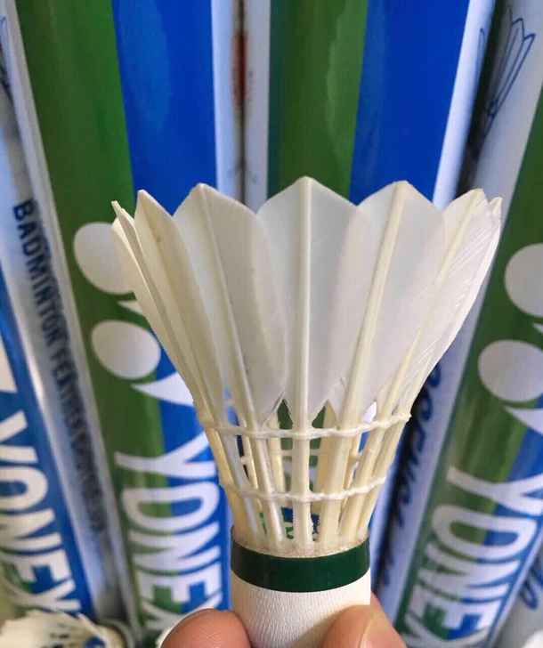 俱乐部搞活动剩下的羽毛球，现在低价处理，全...