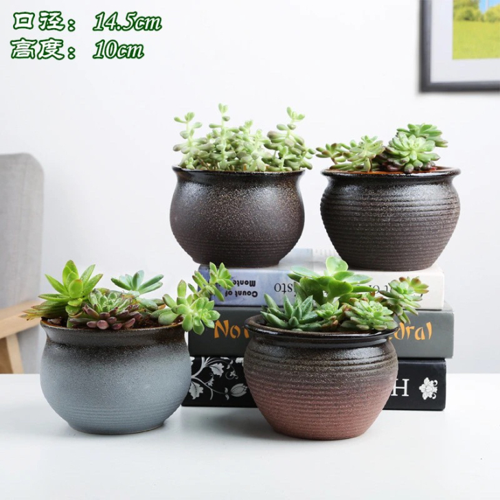 4个一组特价粗陶圆口群生老桩盆多肉陶瓷盆大...