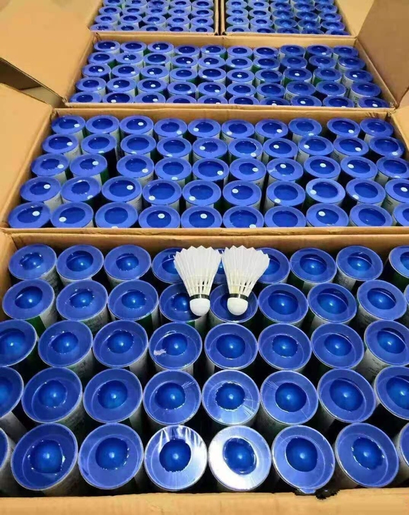 尤尼克斯as05羽毛球训练专用稳定耐打鹅毛...