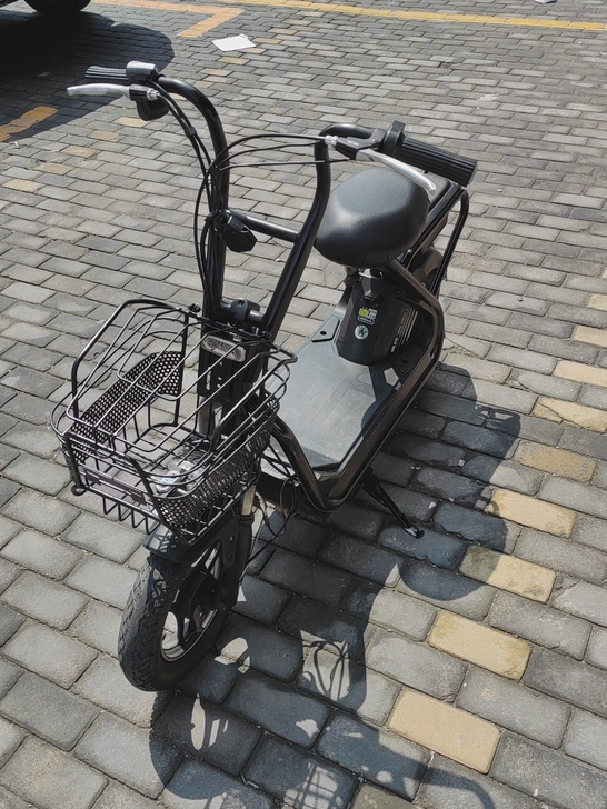 爱玛电动车博士电机