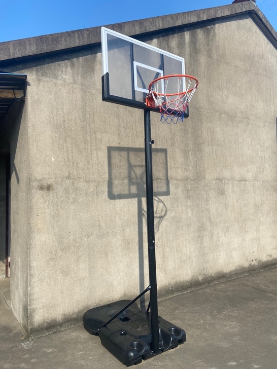 成人篮球架家用户外幼儿园可升降移动室内青少...