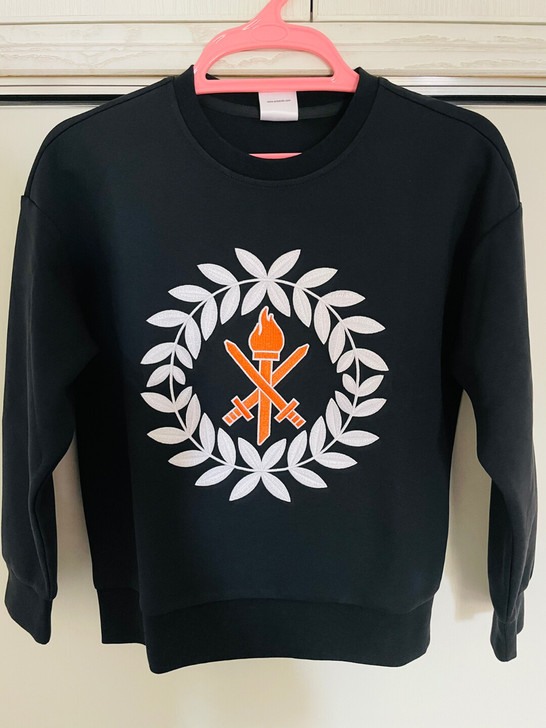 全新安踏 anta 男童卫衣上衣秋冬季节1...