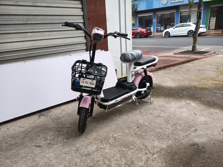 电动车自行车 新国标 9.99新 立马牌 ...