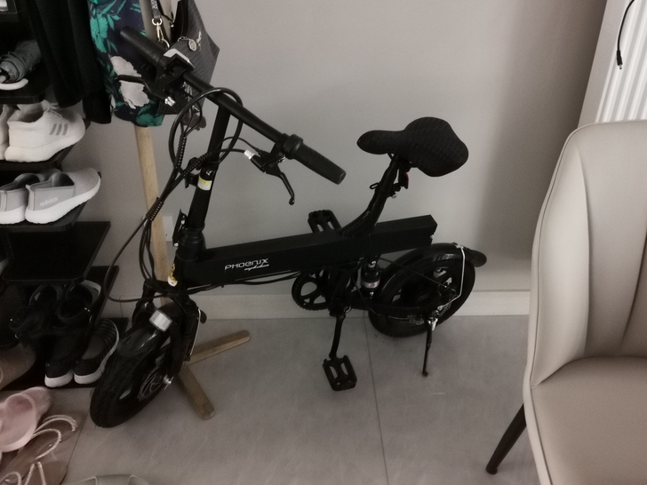 凤凰电单车R8最高续航版本,上面标的是助力...