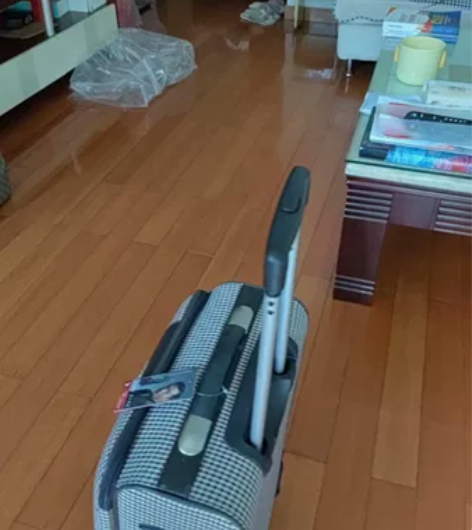 爱华仕旅行箱，单位发放，全新。尺寸：39*...