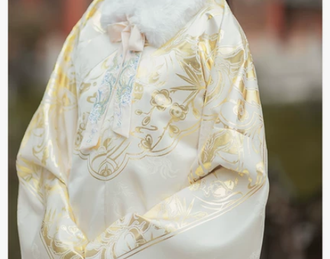 雁卿汉服出租包邮出租汉服出租如梦霓裳九尾灵...