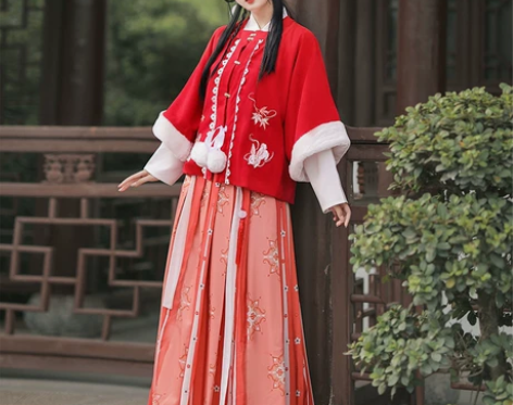 蝉佩玉兔明制汉服女中国风加厚对襟短衫齐腰襦...