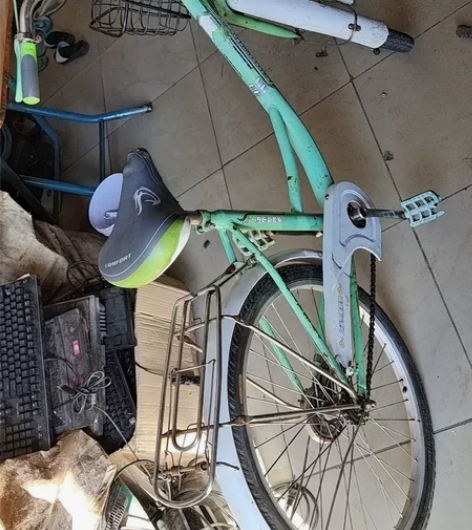 上海凤凰晟象共享单车同款自行车24寸男女学...