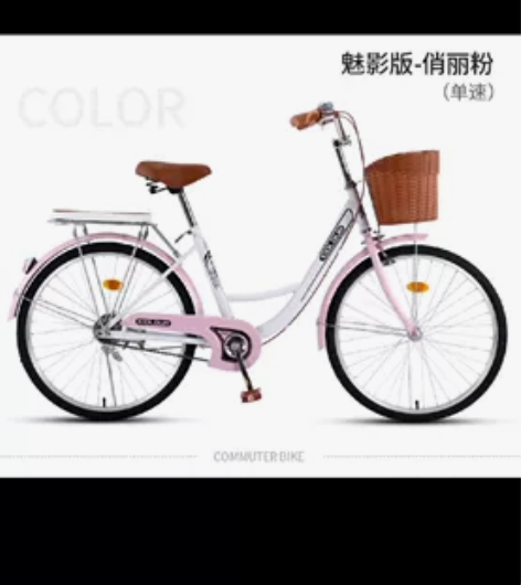 24寸自行车买回来安装完后共骑了两天，几乎...