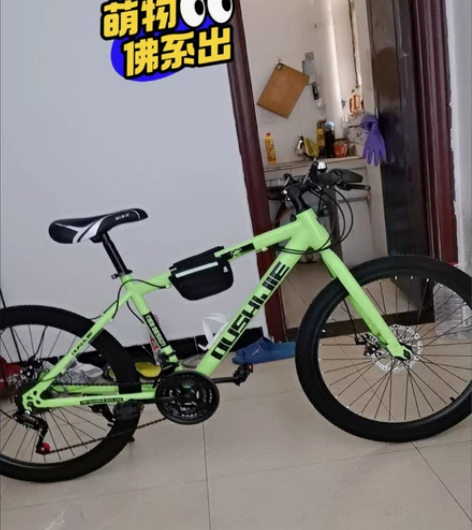 【全新变速自行车】亏本转让 成人变速自行车...