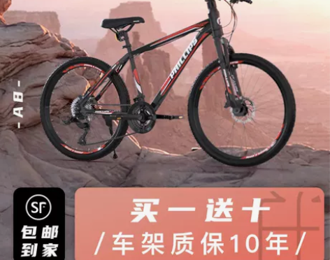 PHILLIPS/菲利普 山地自行车 拼好...