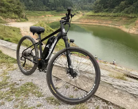 自行车 PESU倍速出行E-Bike白鲨S...