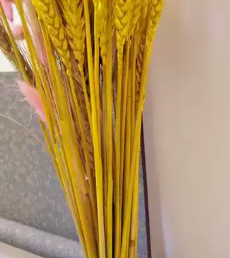 金色 99支 天然麦穗干花 花束拍照道具 ...