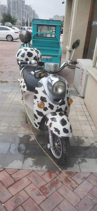 因毕业 出二手电动车 诚心问 可小刀 限同...