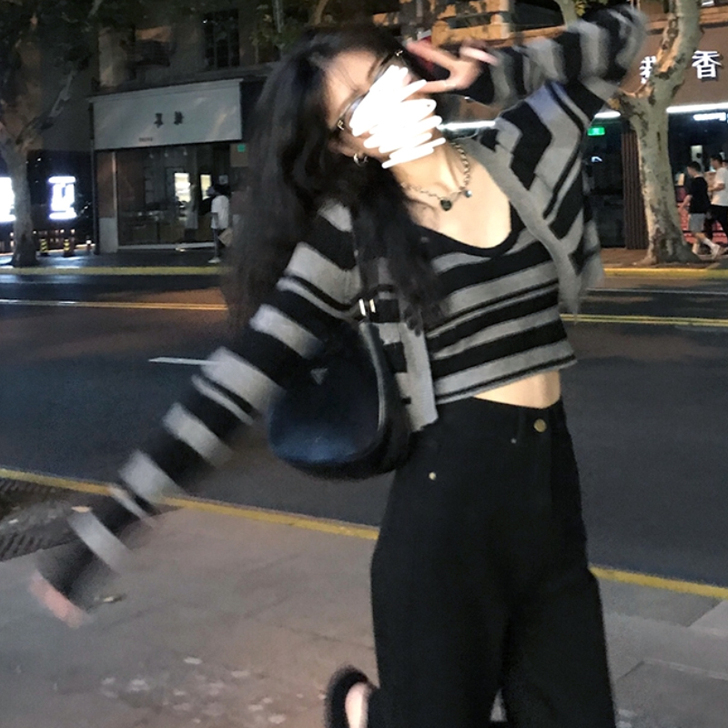 丹来鸟 毛针织衫