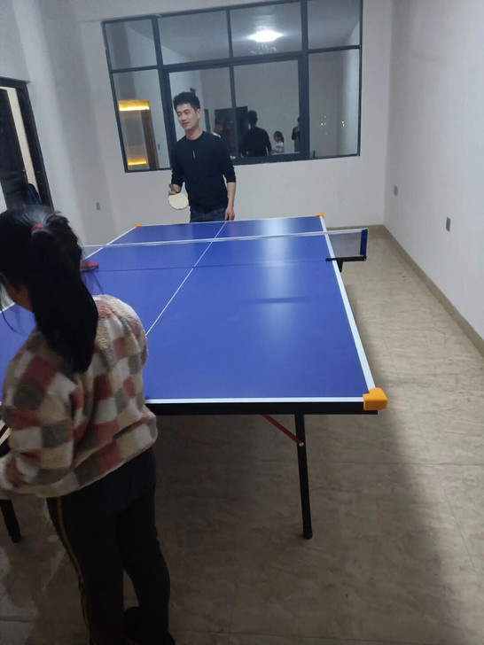 实体店不做了，现处理一批乒乓球桌球台家用室...