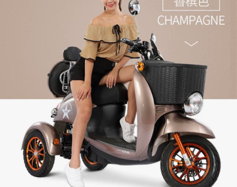 正步 电动车三轮车 男女性电瓶车小型老年人...