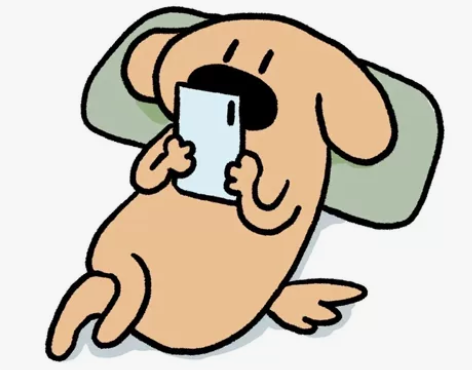 java   代码调试，代码讲解，改bug...