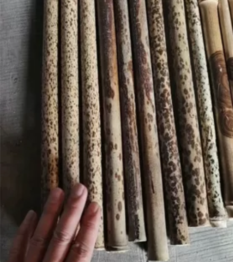 桂竹，芝麻，虎b，紫竹，毛笔料精品老料22...
