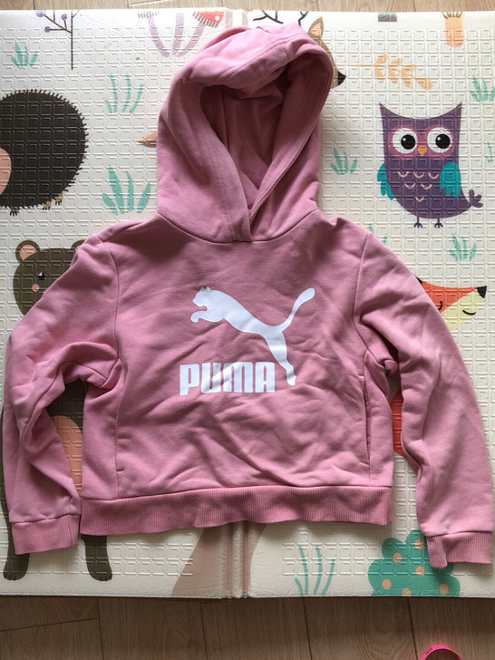 彪马puma毛圈带帽卫衣