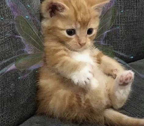 奥罗骑士，猎人，2个号都是72-80，2个...