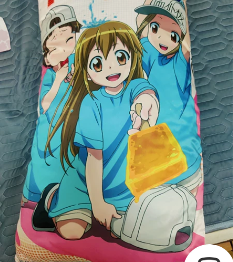 工作细胞 血小板抱枕 98新 没用过 因為...