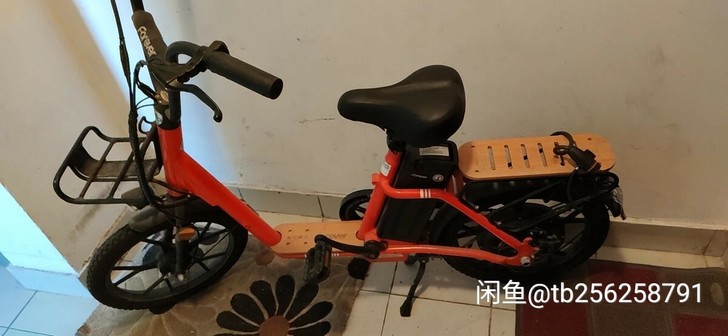 永久电动车