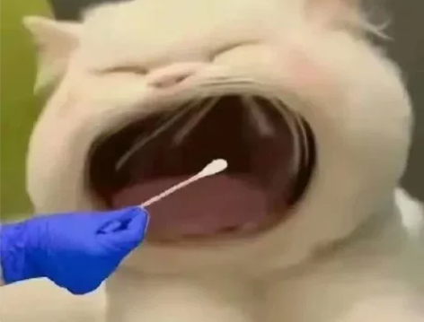 小羊咩咩红色条纹jsk m 全新带吊牌 飞...