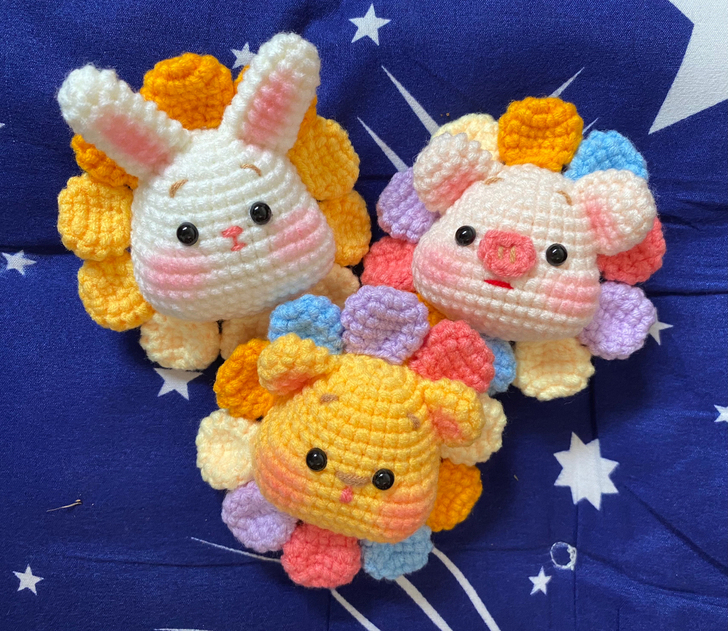 太阳花猪 太阳花兔子 太阳花熊