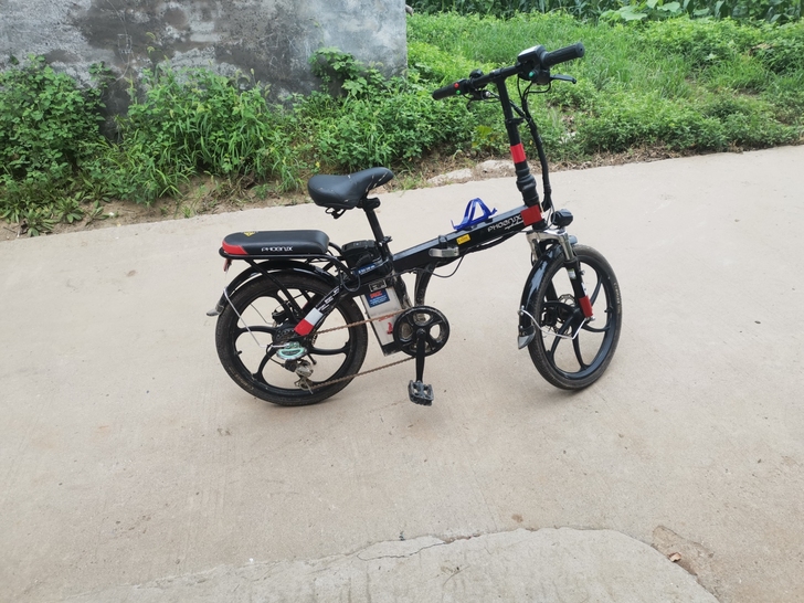 最近刚失业，忍痛出售20年初购买的一台凤凰...