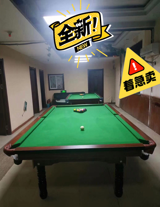 【全新球桌,低价急售】低价出成人休闲娱乐台...