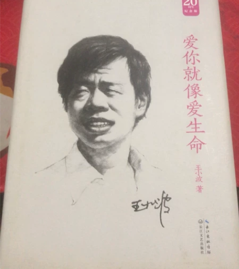 爱你就像爱生命纪念版王小波现当代文学散文随...