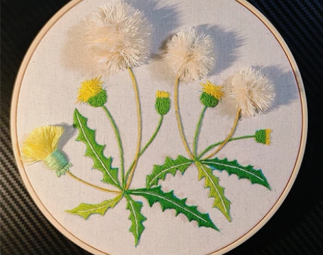蒲公英手工刺绣画 绣布尺寸:25*25 ...