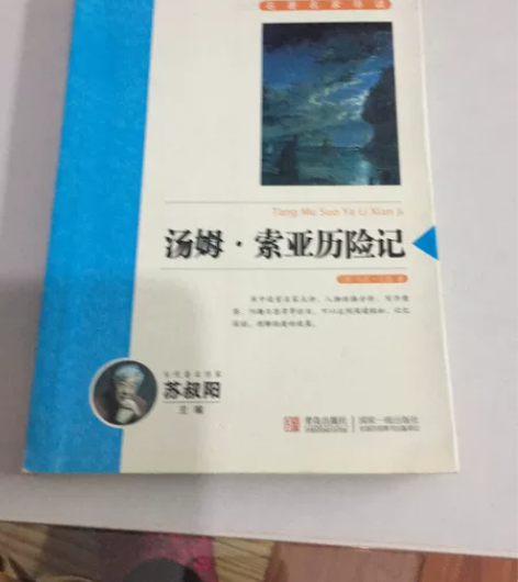买一本送一本，汤姆索亚历险记/新课标名著名...