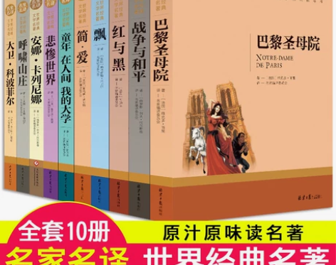 出一套十大名著，中小学必读名著 巴黎圣母院...