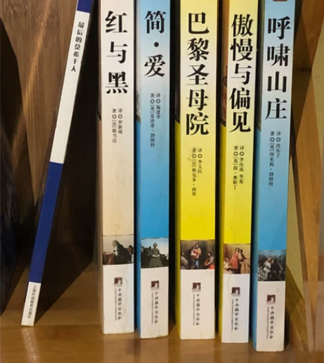 呼啸山庄 傲慢与偏见 巴黎圣母院 简爱 红...