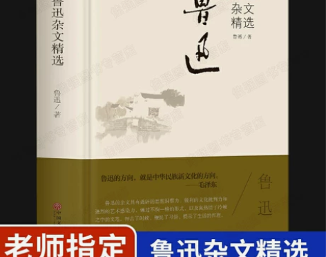 鲁迅杂文精选全集精选正版 散文集 经典文集...