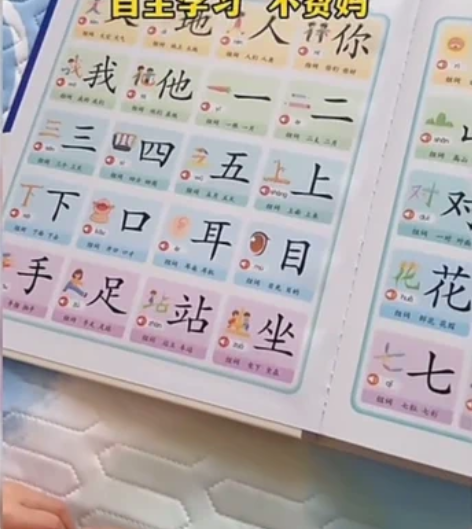 识字点读 益智玩具 汉子会说话65， 唐诗...