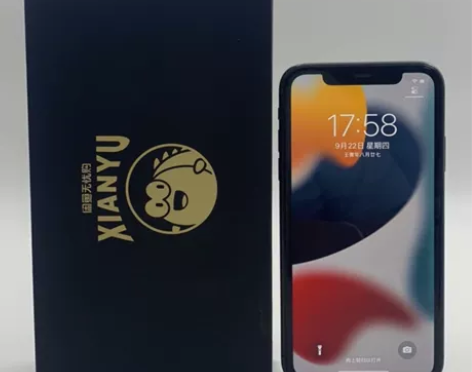 Apple/苹果 苹果 iPhone 11...