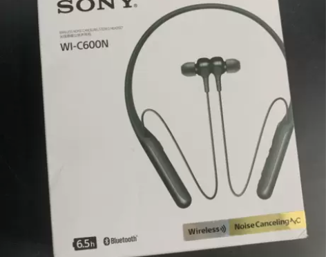 索尼WIC600N无线降噪立体声耳机入耳颈...