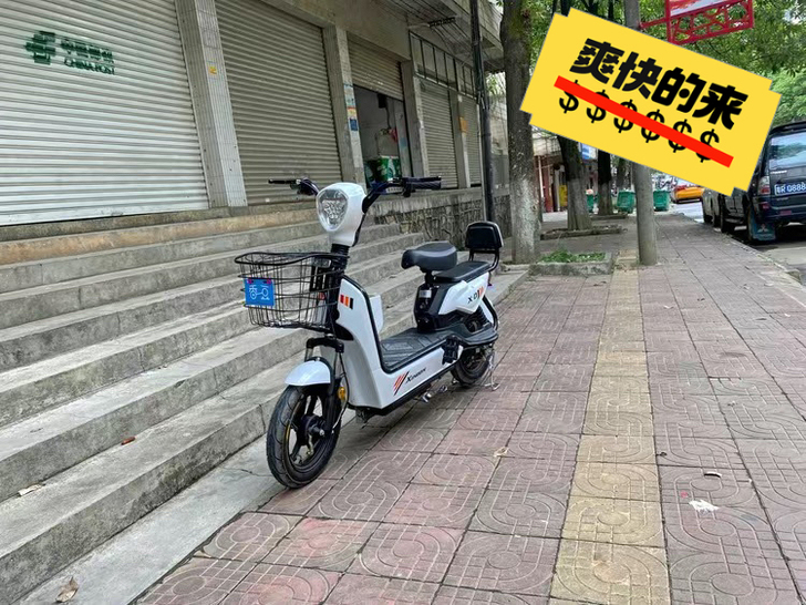 学生校园代步小毛驴新国标电动自行车成人锂电...