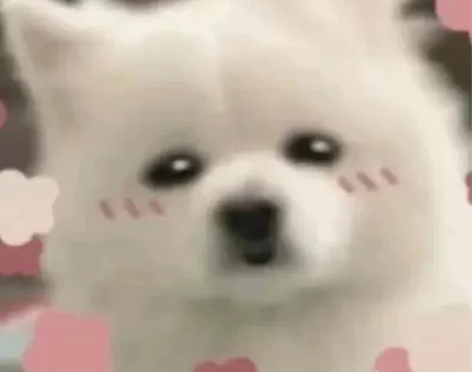 出高中生物人教版必修123/选修三课本 不...