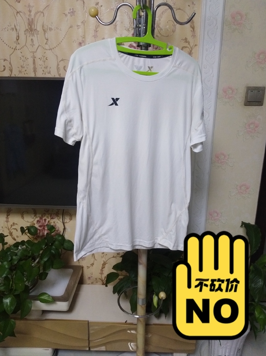 正品特步男体恤，L码，九成新左右无瑕疵无污...