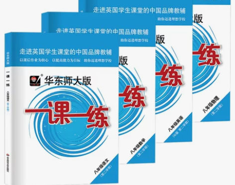 2022华东师大版一课一练八年级下册 语文...