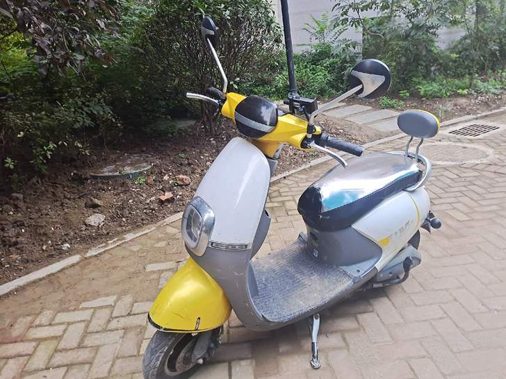 品牌型号: 小鸟电动车 ，